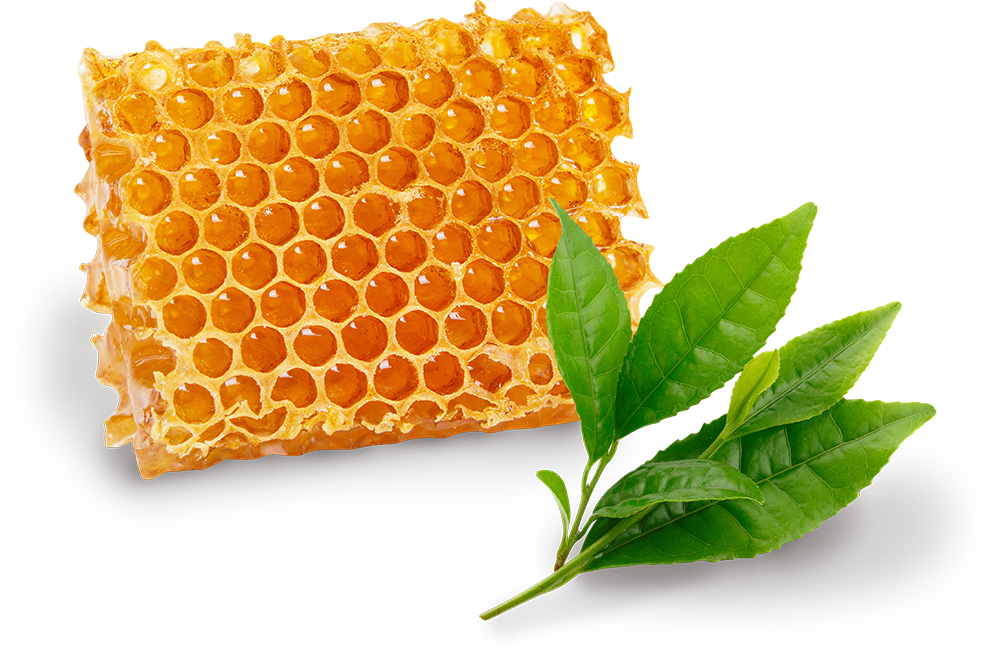 プロポリス＆カテキンを配合